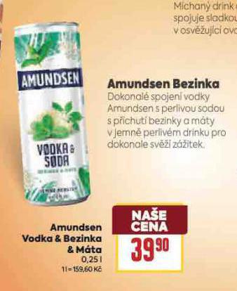 AMUNDSEN BEZINKA