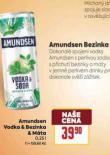 AMUNDSEN BEZINKA