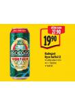 PIVO RADEGAST RYZE HOK 12