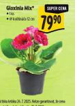 GLOXINIA MIX