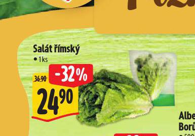 SALT MSK