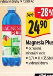 MAGNESIA PLUS