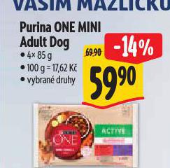 PURINA ONE MINI ADULT DOG