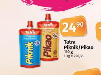 TATRA PIKNIK