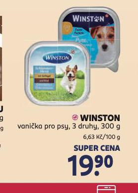 WINSTON VANIKA PRO PSY