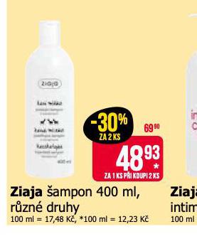 ZIAJA AMPON
