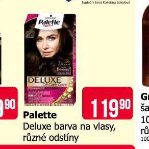 PALETTE DELUXE BARVA NA VLASY