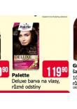 PALETTE DELUXE BARVA NA VLASY