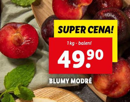 BLUMY MODR