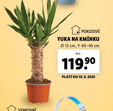 YUKA NA KMNKU