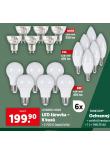 LED ROVKA