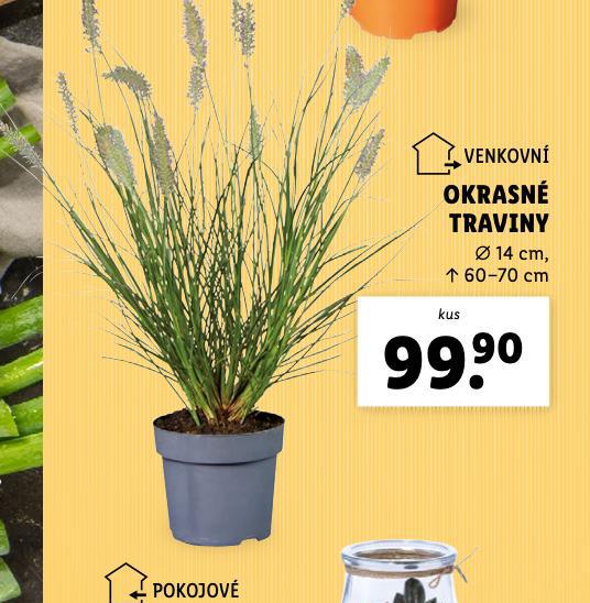 OKRANS TRAVINY