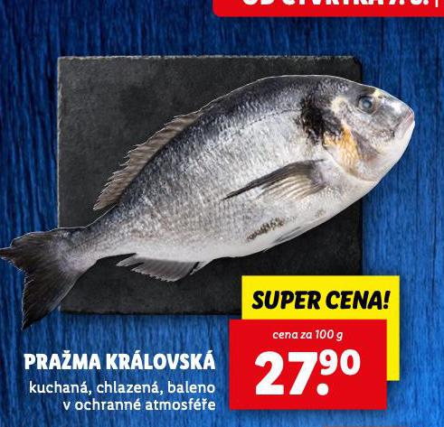 PRAMA KRLOVSK