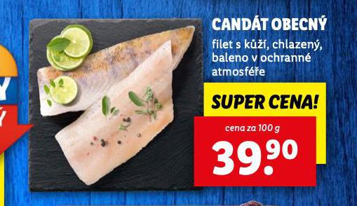 CANDT OBECN
