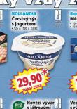 HOLLANDIA ERSTV SR S JOGURTEM