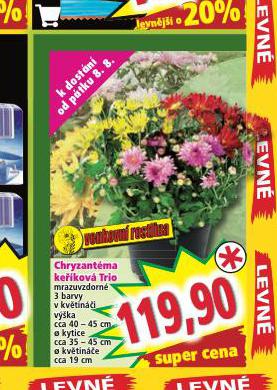 CHRYZANTMA KEKOV TRIO