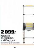 ASIST ALU TELESKOPICK EBK