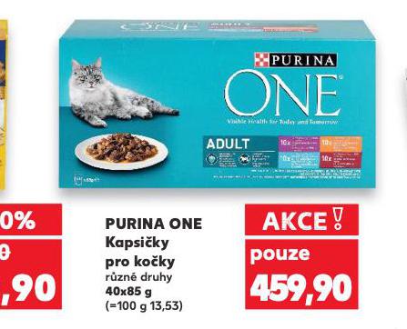 PURINA ONE KAPSIKY PRO KOKY