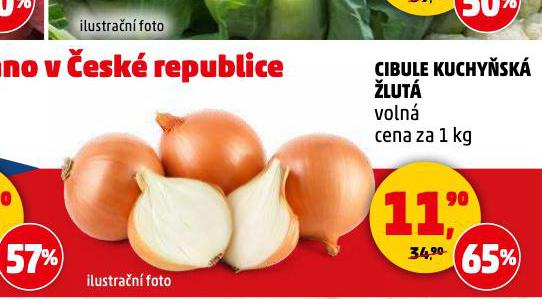 CIBULE KUCHYSK LUT