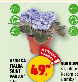 AFRICK FIALKA