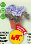 AFRICK FIALKA