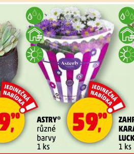 ASTRY