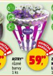 ASTRY