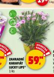 ZAHRADN KARAFIT