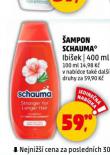SCHAUMA AMPON