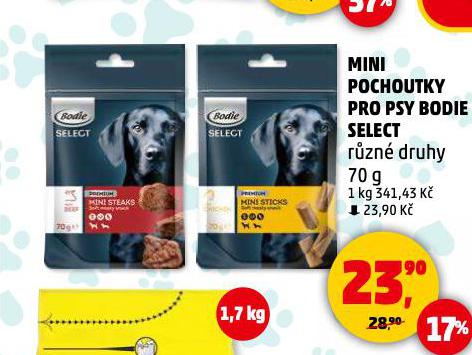 BODIE SELECT POCHOUTKY PRO PSY
