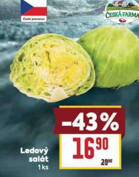 LEDOV SALT
