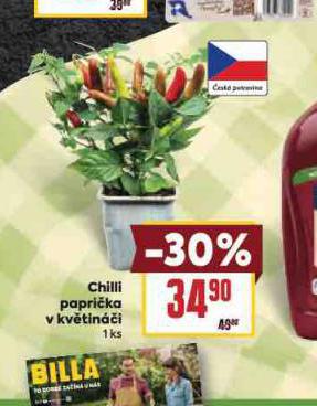 CHIILI PAPRIKA V KVTINI