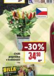 CHIILI PAPRIKA V KVTINI