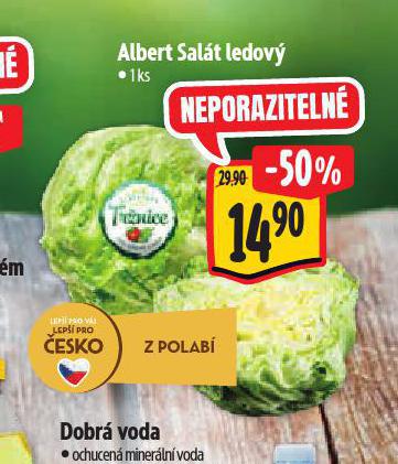 SALT LEDOV