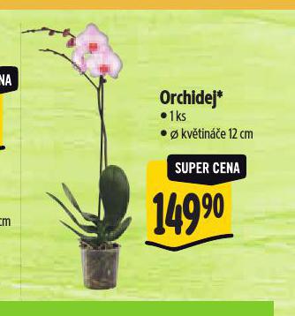 ORCHIDEJ