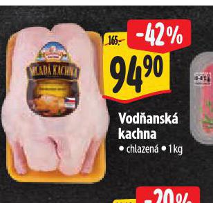 VODANSK KACHNA