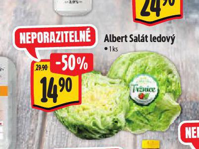 SALT LEDOV