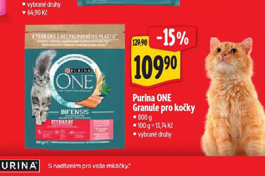 PURINA ONE GRANULE PRO KOKY