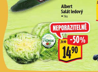 SALT LEDOV