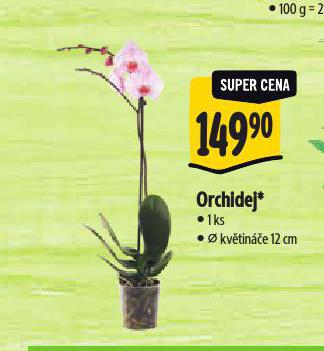 ORCHIDEJ