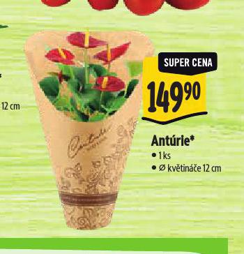 ANTRIE