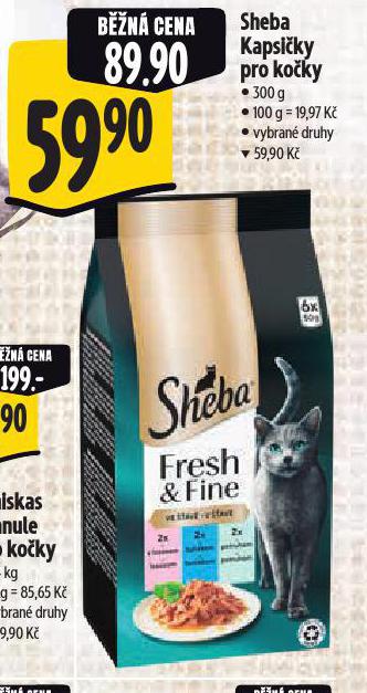 SHEBA KAPSIKY PRO KOKY