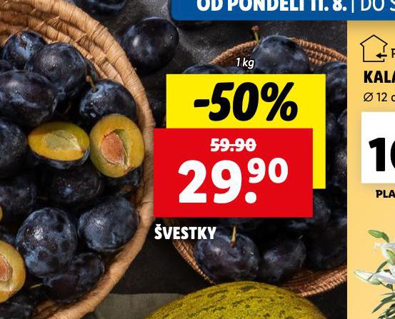 VESTKY
