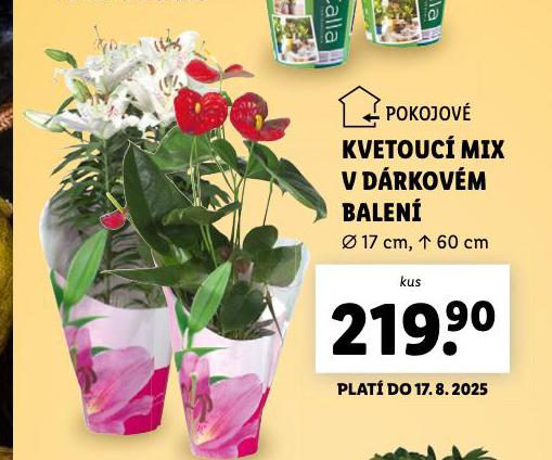 KVETOUC MIX V DRKOVM BALEN