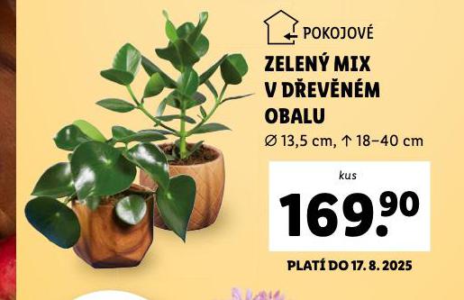 ZELEN MIX V DEVNM OBALY