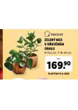 ZELEN MIX V DEVNM OBALY