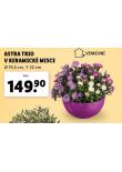 ASTRA TRIO V KERAMICK MISCE