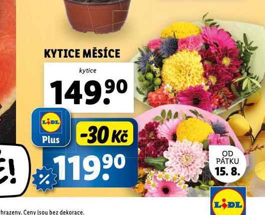KYTICE MSCE