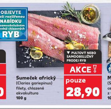 SUMEEK AFRICK