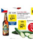 PIVO RADEGAST RYZE HOK 12